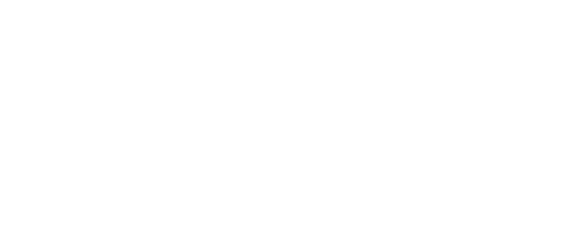 Formula 1