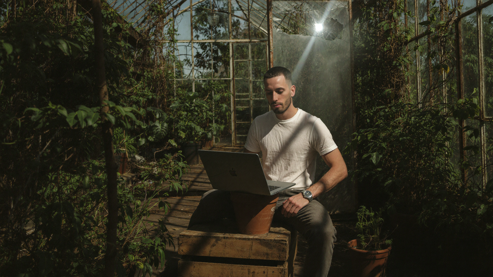 A man working on a laptop inside a humid overgrown Victorian greenhouse lit by a single hard shaft of afternoon sun